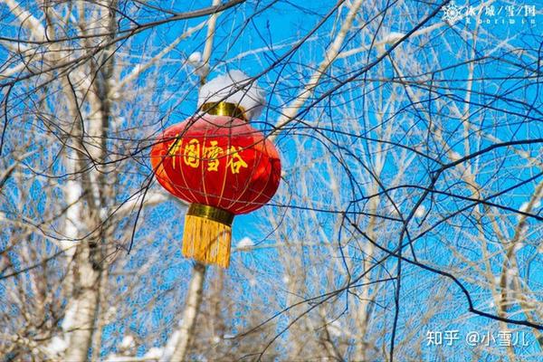 哈尔滨滑雪旅游攻略_哈尔滨滑雪旅游线路_哈尔滨滑雪景区