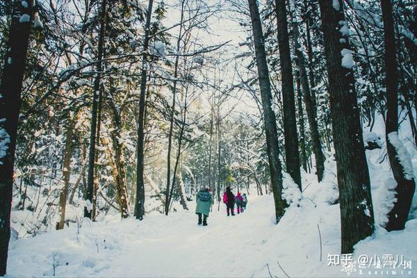 哈尔滨滑雪景区_哈尔滨滑雪旅游攻略_哈尔滨滑雪旅游线路