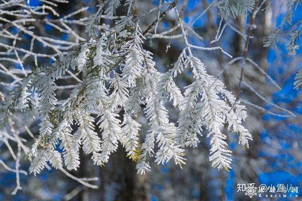 哈尔滨滑雪旅游线路_哈尔滨滑雪旅游攻略_哈尔滨滑雪景区