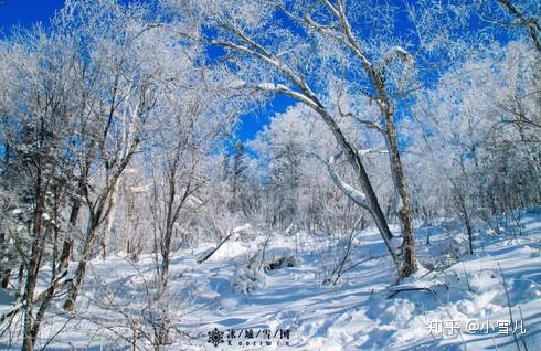 哈尔滨滑雪景区_哈尔滨滑雪旅游攻略_哈尔滨滑雪旅游线路