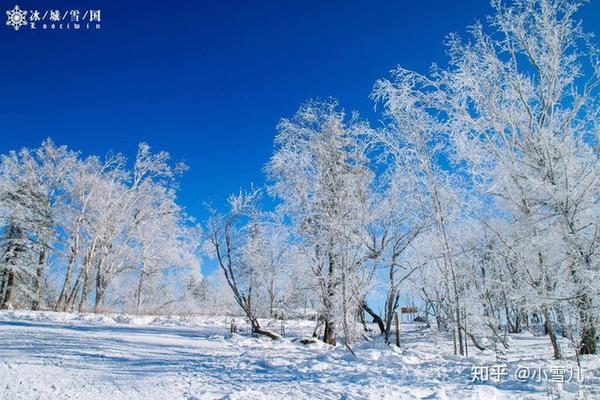 哈尔滨滑雪景区_哈尔滨滑雪旅游线路_哈尔滨滑雪旅游攻略