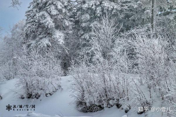 哈尔滨滑雪景区_哈尔滨滑雪旅游攻略_哈尔滨滑雪旅游线路