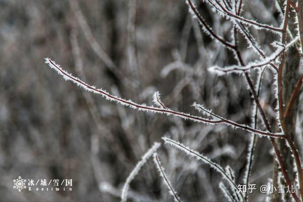 哈尔滨滑雪景区_哈尔滨滑雪旅游线路_哈尔滨滑雪旅游攻略