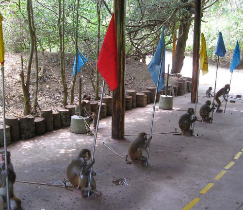 情侣旅游哪里好玩_情侣旅游附近_附近适合情侣去的地方