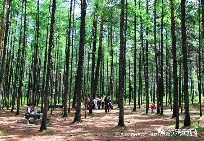 抚远一日游多少钱_抚远景点_抚远 旅游特色 村