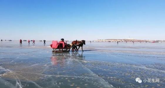 深圳有什么景点旅游_向旅游景点_贵港有什么好玩的景点旅游