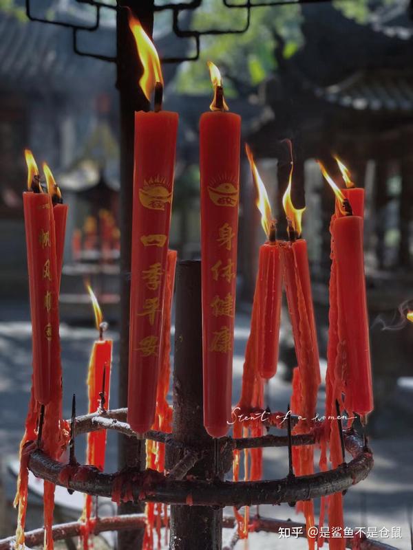 旅游杭州_一个人旅游杭州怎么玩_杭州自己游玩攻略