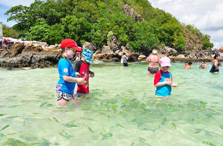 情侣去海鲜旅游_海鲜情侣套餐_旅游吃海鲜去哪