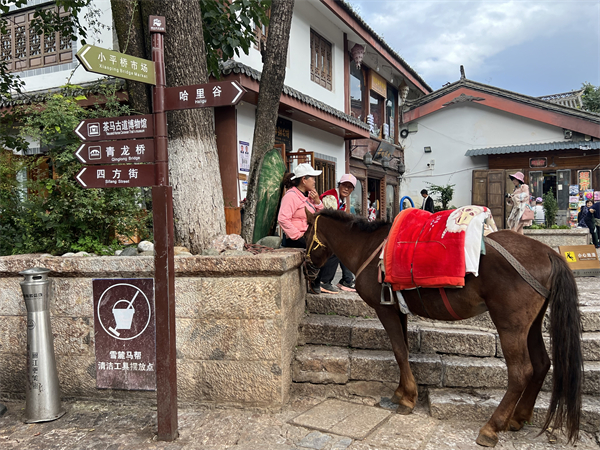 泸沽湖看星空旅游攻略住宿？泸沽湖能看到星空吗