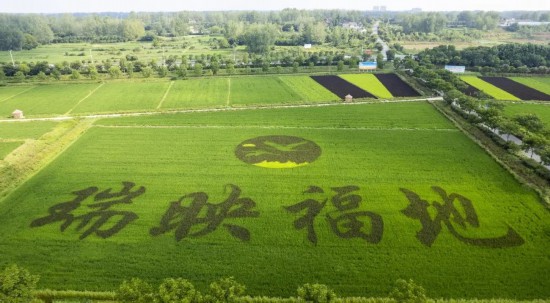 白马风景区_白马村旅游景点有哪些_白马特色旅游村