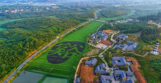 白马村旅游景点有哪些_白马特色旅游村_白马风景区