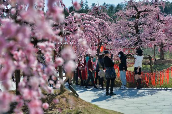 白马特色旅游村_白马村旅游景点有哪些_白马风景区