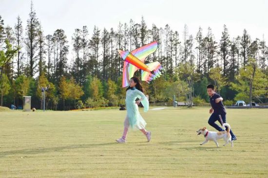 白马风景区_白马特色旅游村_白马村旅游景点有哪些