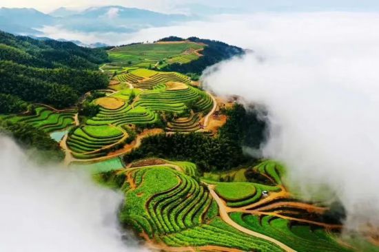 白马村旅游景点有哪些_白马特色旅游村_白马风景区