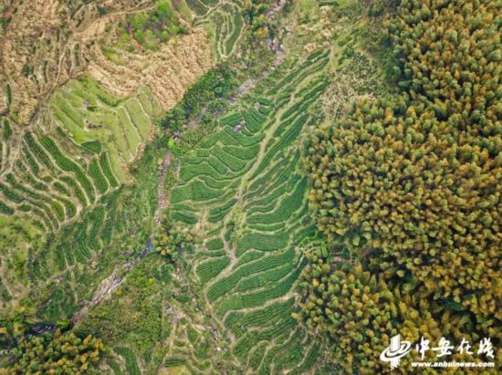 白马村旅游景点有哪些_白马特色旅游村_白马风景区