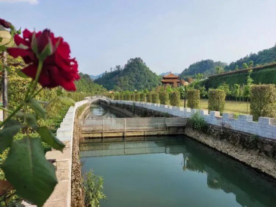 白马风景区_白马村旅游景点有哪些_白马特色旅游村