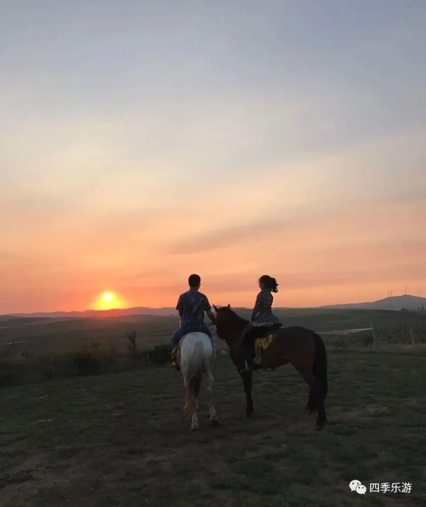 夏季集体旅游服装_夏季服装集体旅游图片_夏季旅游服饰搭配