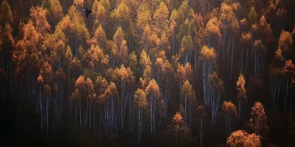 北国哪些著名景点_北国有什么好玩的_北国旅游推荐