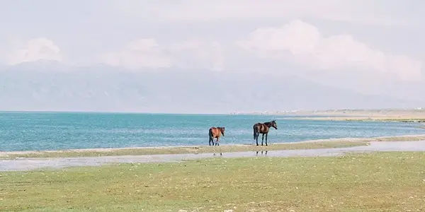 北国旅游推荐_北国有什么好玩的_北国哪些著名景点