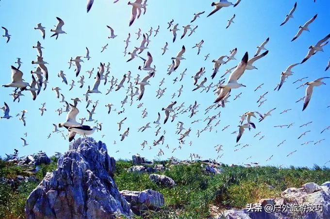 旅游城市推荐威海美食海鲜_威海吃海鲜攻略_威海旅游吃海鲜攻略