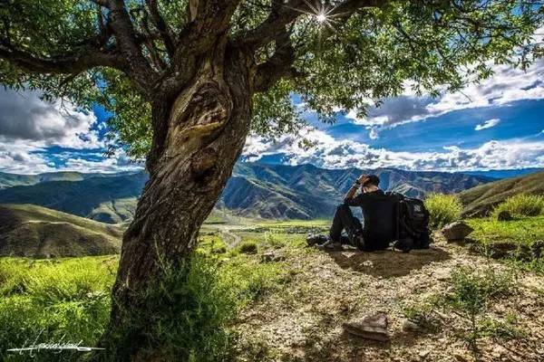 一个人旅游照片怎么样_旅游照片集_旅游个人照片怎样造型