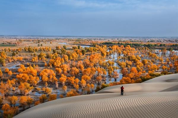 新疆旅游自由行导游可靠吗_自由行新疆旅游_新疆旅游自由行多少钱