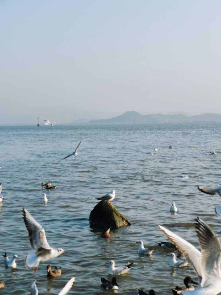 找一个人去广东旅游好吗_广东旅游攻略哪个app好_广东一个人去哪旅游好