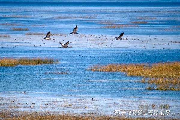 永州特色旅游路线_永州特色旅游路线_永州特色旅游路线