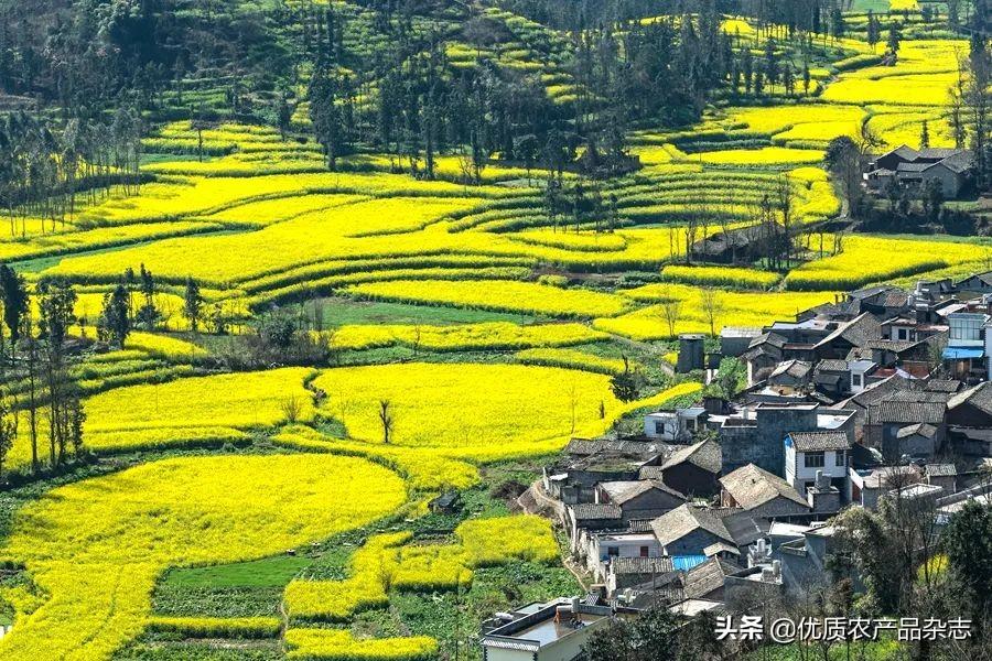 旅游地区的研究思路有哪些_旅游研究思路怎么写_思路旅游地区研究有哪些内容