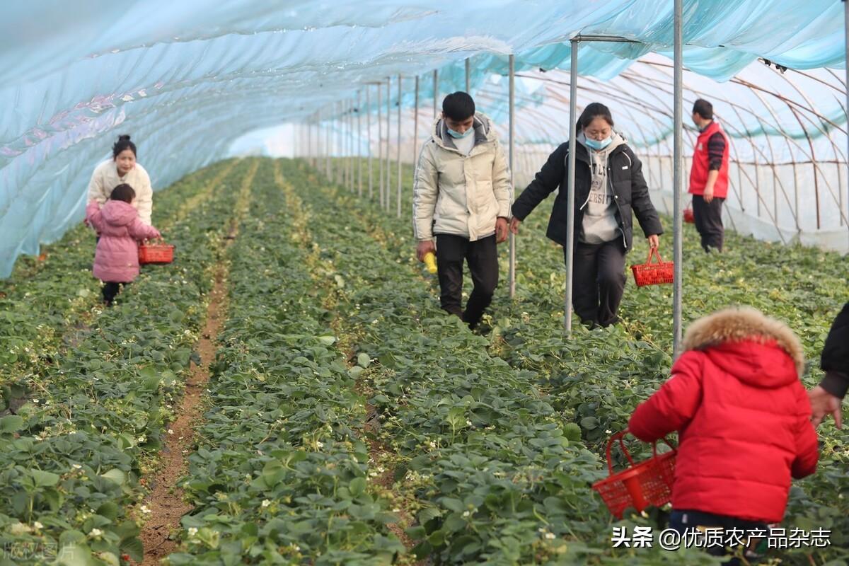 思路旅游地区研究有哪些内容_旅游研究思路怎么写_旅游地区的研究思路有哪些