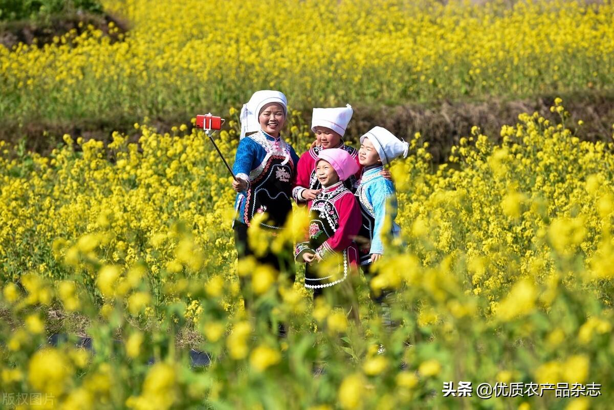 旅游研究思路怎么写_旅游地区的研究思路有哪些_思路旅游地区研究有哪些内容