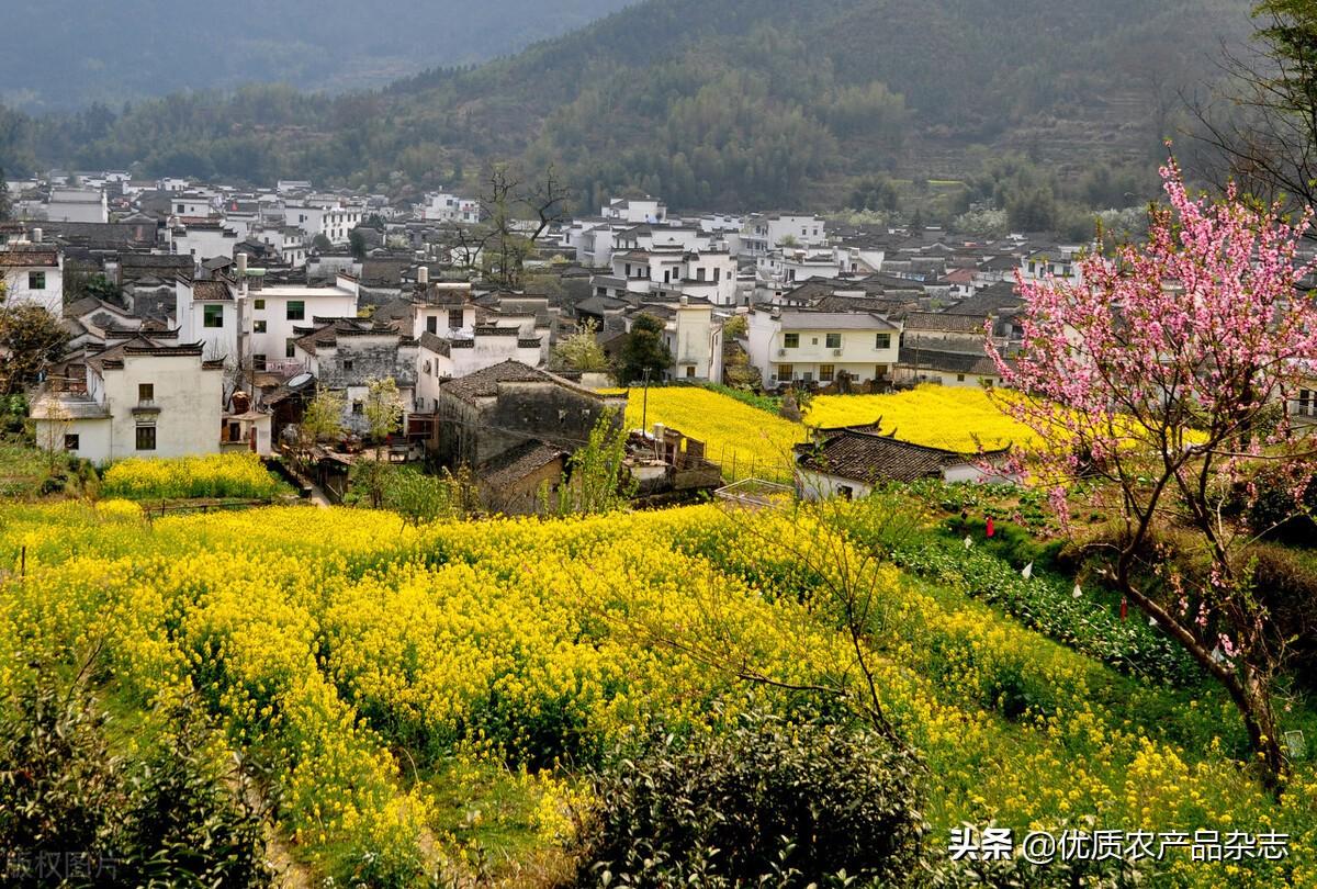 旅游地区的研究思路有哪些_思路旅游地区研究有哪些内容_旅游研究思路怎么写