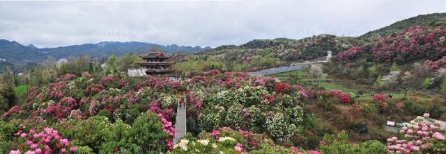 贵州省5A景区旅游指南