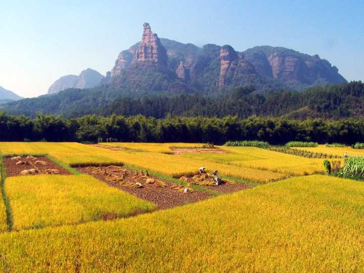 广东旅游去哪_找一个人去广东旅游好吗_广东一个人去哪旅游好