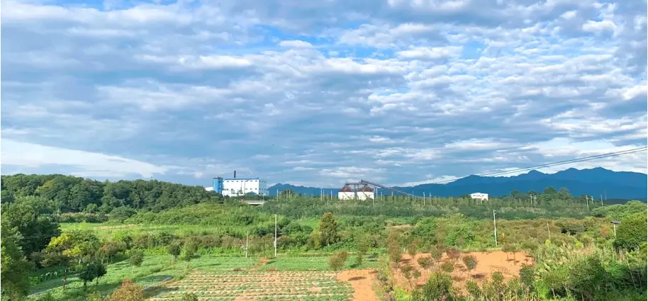 旅游村集体经济典型案例_村集体组织村民旅游_村集体旅游公司