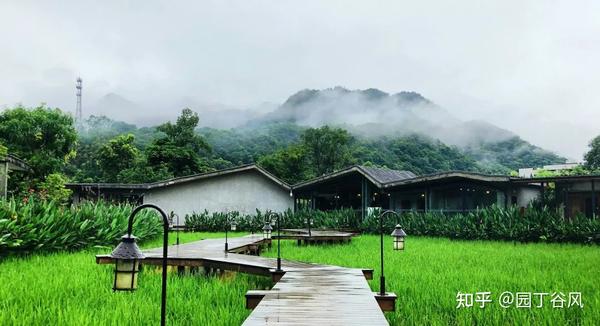 旅游需求清单_家庭旅游的需求_旅游需求家庭环境分析