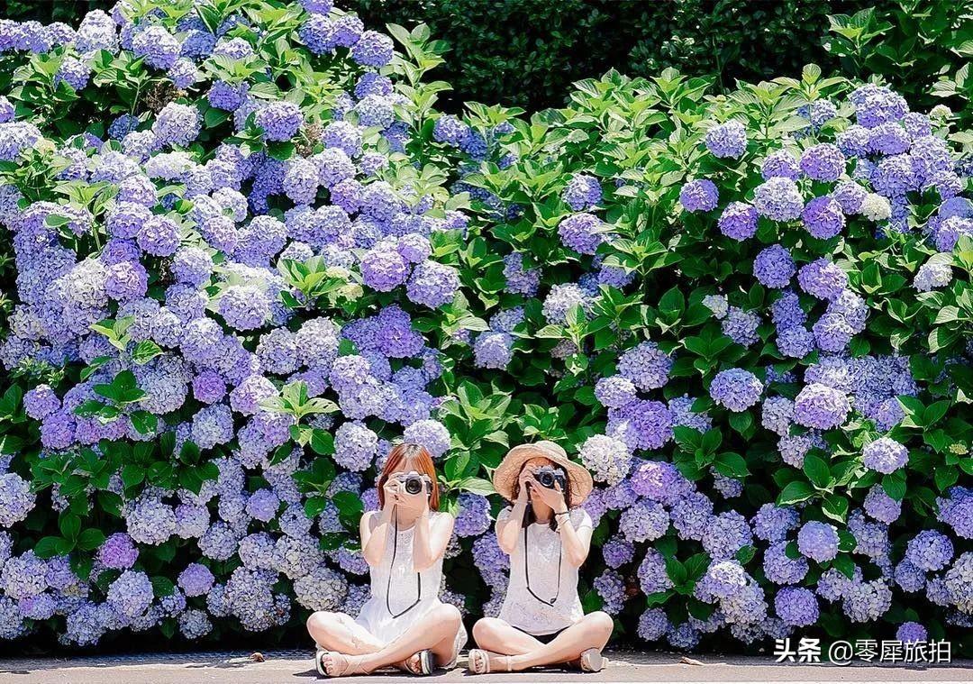 闺蜜一起旅游拍照发朋友圈的话_闺蜜集体旅游拍照_闺蜜拍照集体旅游说说