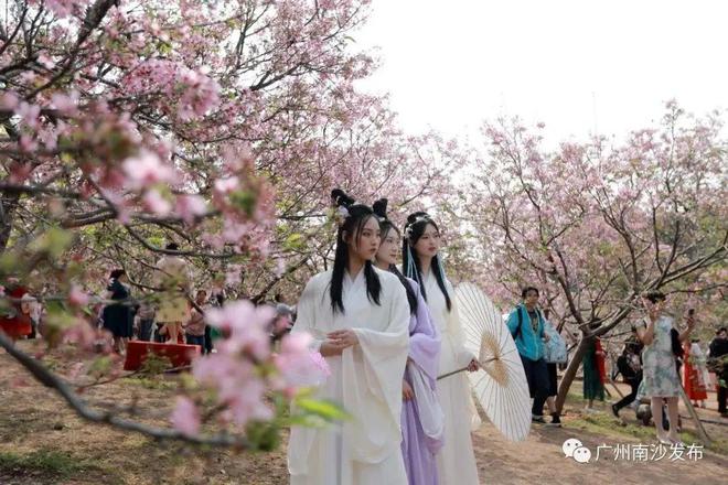 从化旅行攻略_从化免费旅游线路_从化免费旅游景点大全排名