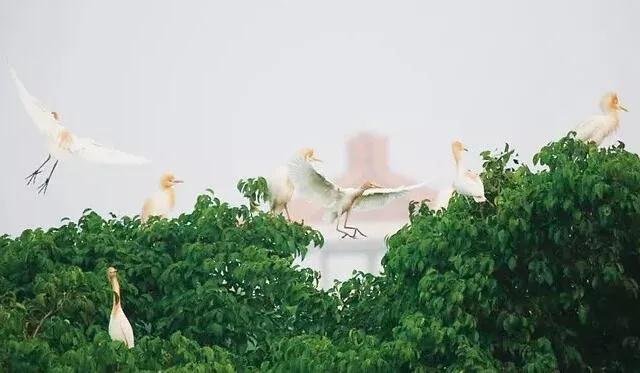 海南旅游景点排名前十z_海南省景点_海南省旅游有什么景点推荐