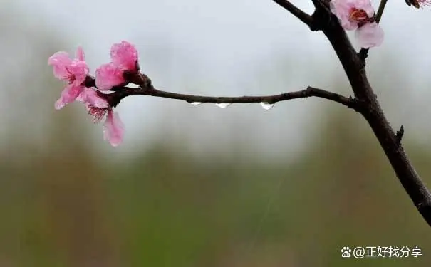 4月新疆旅游地区简介_新疆旅游景点介绍词_新疆主要旅游景点简介