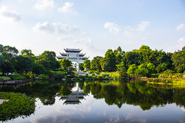 4.海珠湿地.jpg