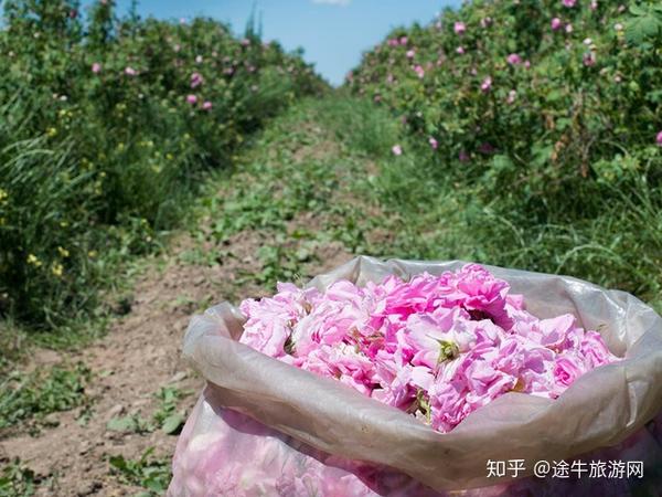 这个季节太适合去旅游_季节旅游适合去哪里玩_季节旅游推荐