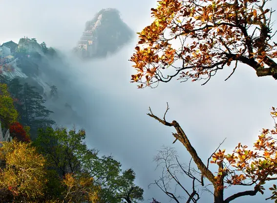 华山线路医护旅游人员工资_华山线路医护旅游人员招聘_医护人员华山旅游线路