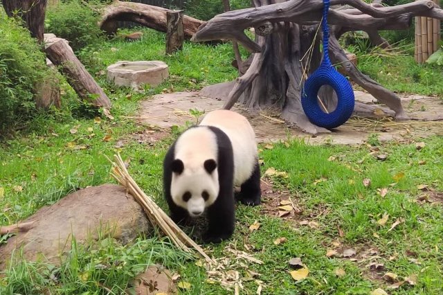 广州亲子旅游景点_广州亲子旅游攻略景点必去_亲子广州旅游线路