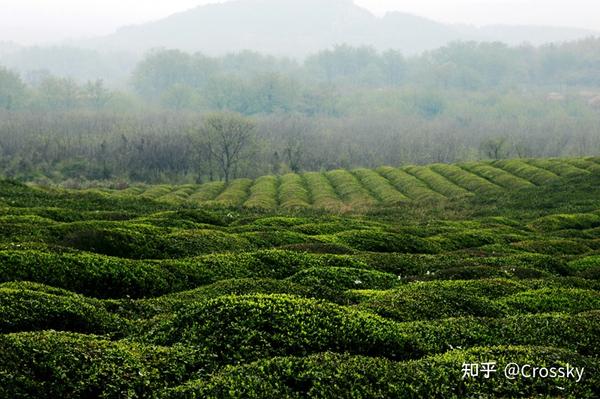 长江旅游介绍_长江著名景点有哪些_长江旅游景点特色