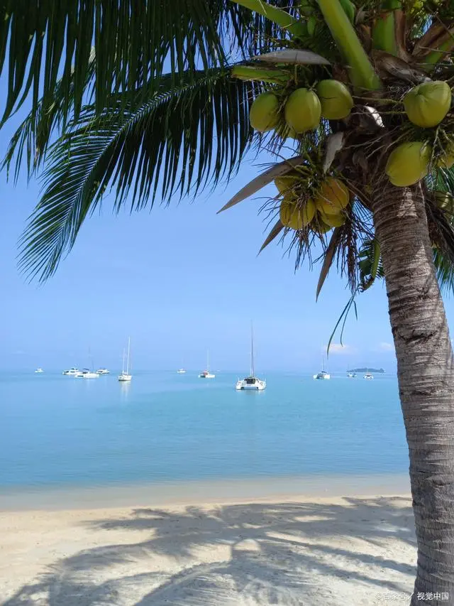 海南适合旅游季节_海南的最好旅游季节_海南季节旅游好玩吗