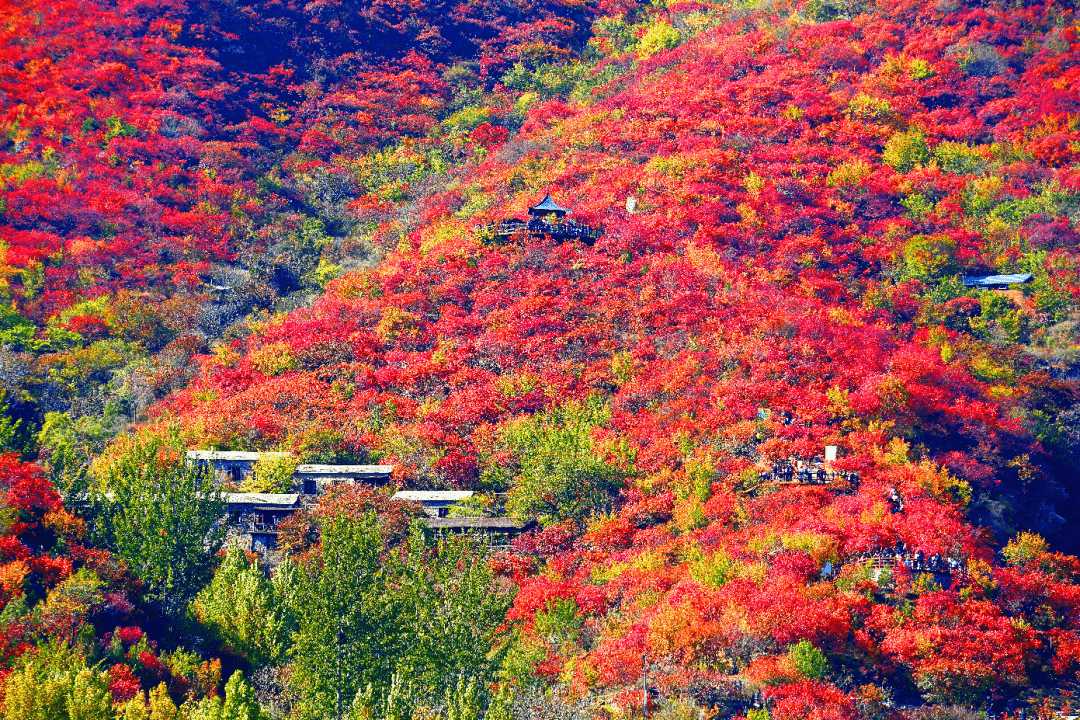 西山旅游公路全程_西山永定河旅游线路_西山景区路线