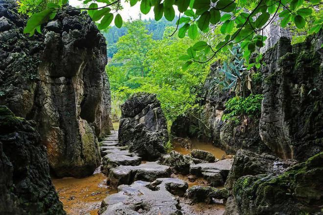 贵州遵义的旅游景点大全_贵州遵义攻略旅游自由行_贵州遵义攻略旅游自由行路线