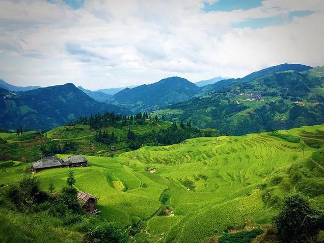 贵州遵义的旅游景点大全_贵州遵义攻略旅游自由行路线_贵州遵义攻略旅游自由行