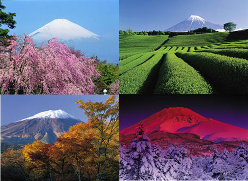日本适合旅游的季节_日本不同季节的旅游_日本的旅游旺季